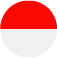 インドネシア 